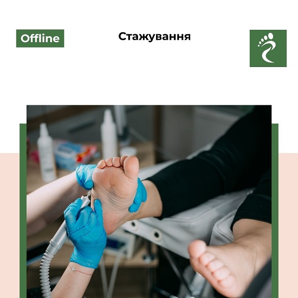 Індивідуальне навчання 